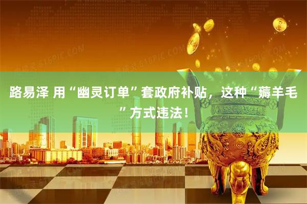 路易泽 用“幽灵订单”套政府补贴，这种“薅羊毛”方式违法！