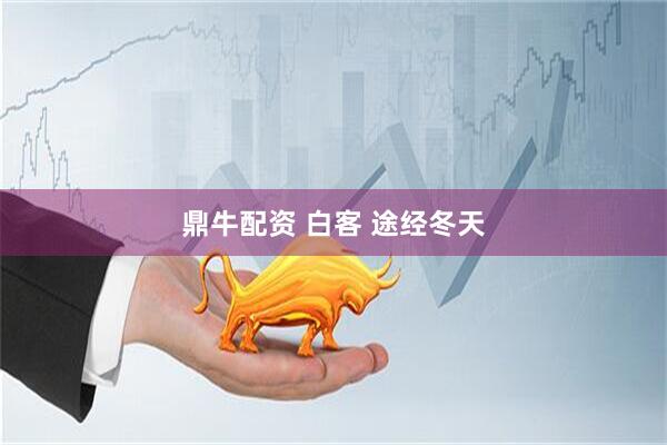 鼎牛配资 白客 途经冬天