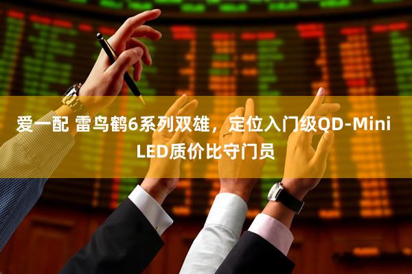 爱一配 雷鸟鹤6系列双雄，定位入门级QD-Mini LED质价比守门员
