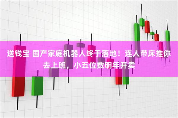 送钱宝 国产家庭机器人终于落地！连人带床推你去上班，小五位数明年开卖