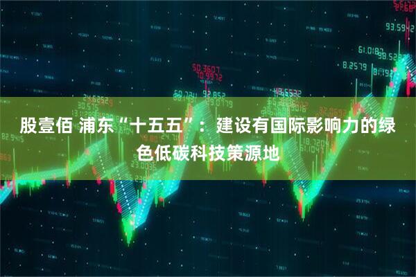 股壹佰 浦东“十五五”：建设有国际影响力的绿色低碳科技策源地