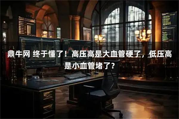 鼎牛网 终于懂了！高压高是大血管硬了，低压高是小血管堵了？